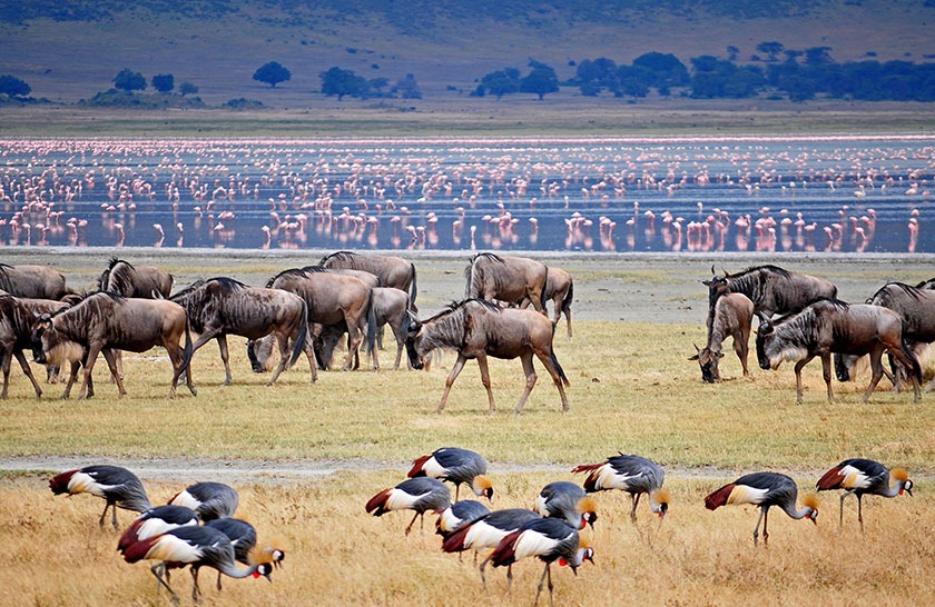 Tarangire National Park
